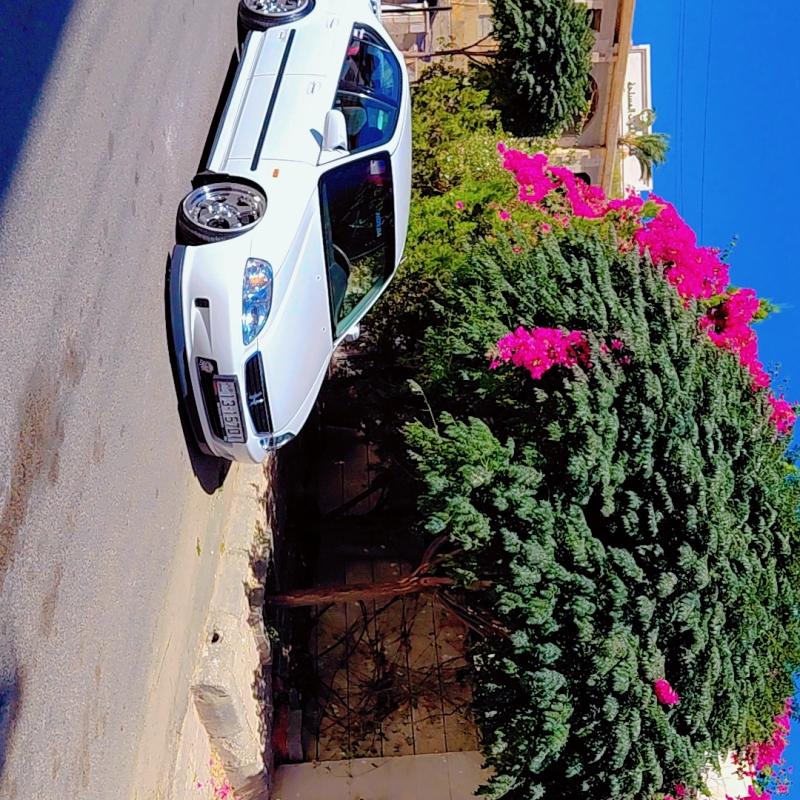 عمان  طبربور 