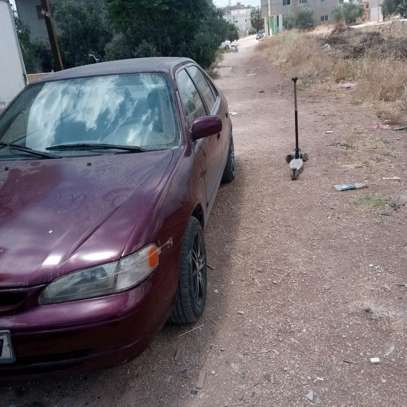 الرمثا الذنيبة