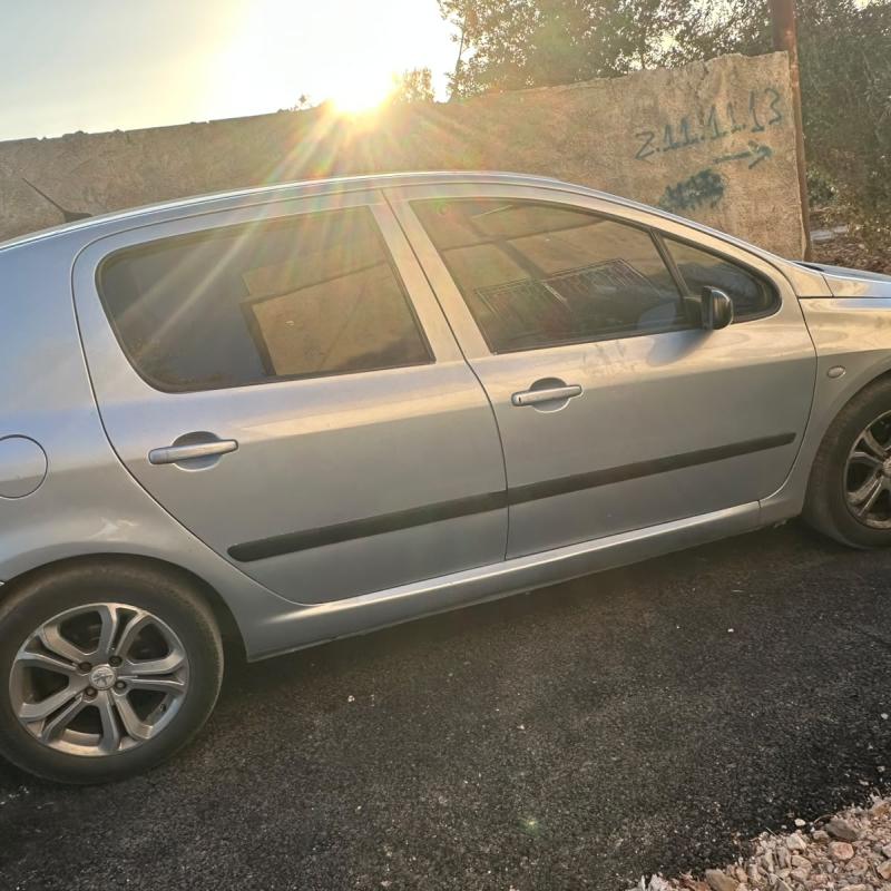 بيجو3007